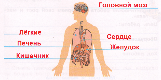 Решение рисунок 1