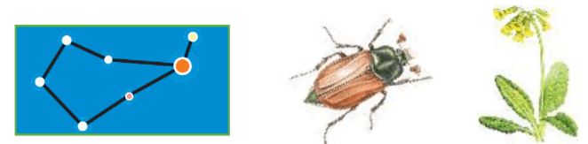 Задание рисунок 1